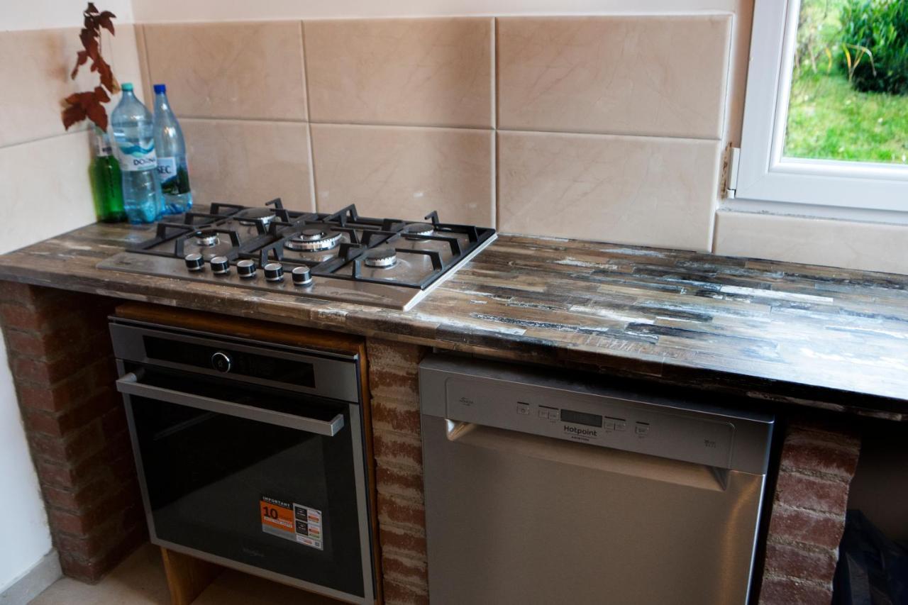 Hotel Casa Cu Magnolii Poienile Izei Zewnętrze zdjęcie