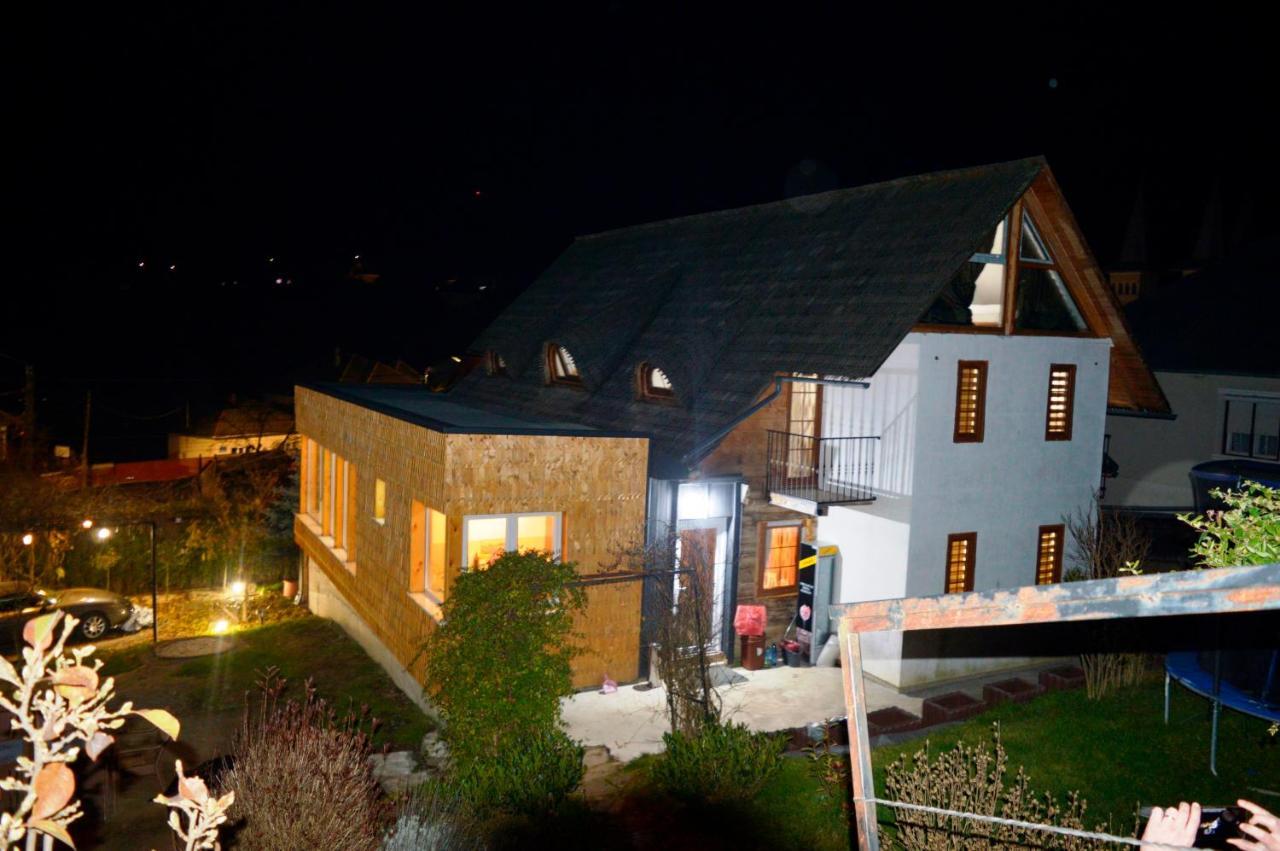 Hotel Casa Cu Magnolii Poienile Izei Zewnętrze zdjęcie