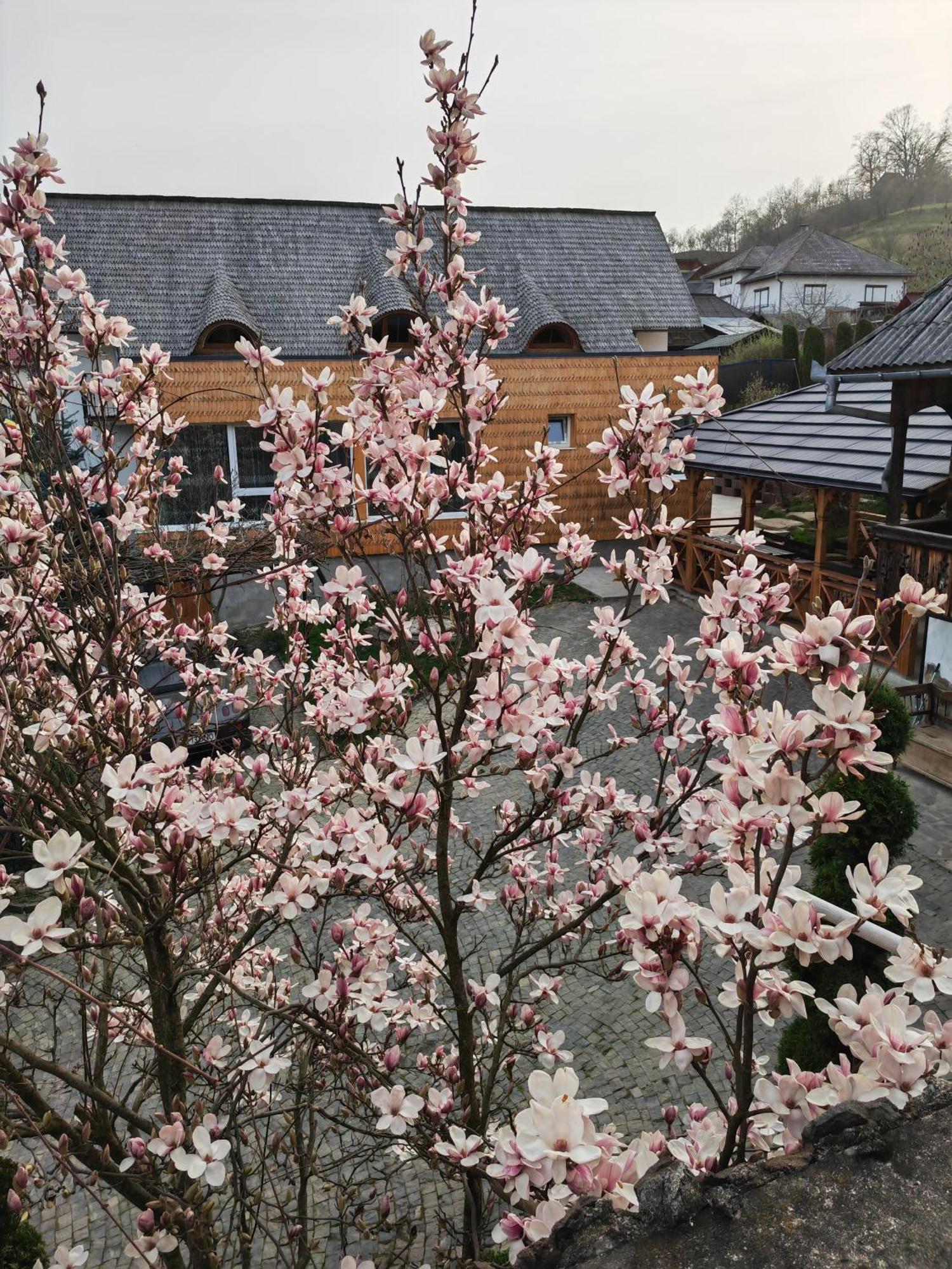 Hotel Casa Cu Magnolii Poienile Izei Zewnętrze zdjęcie