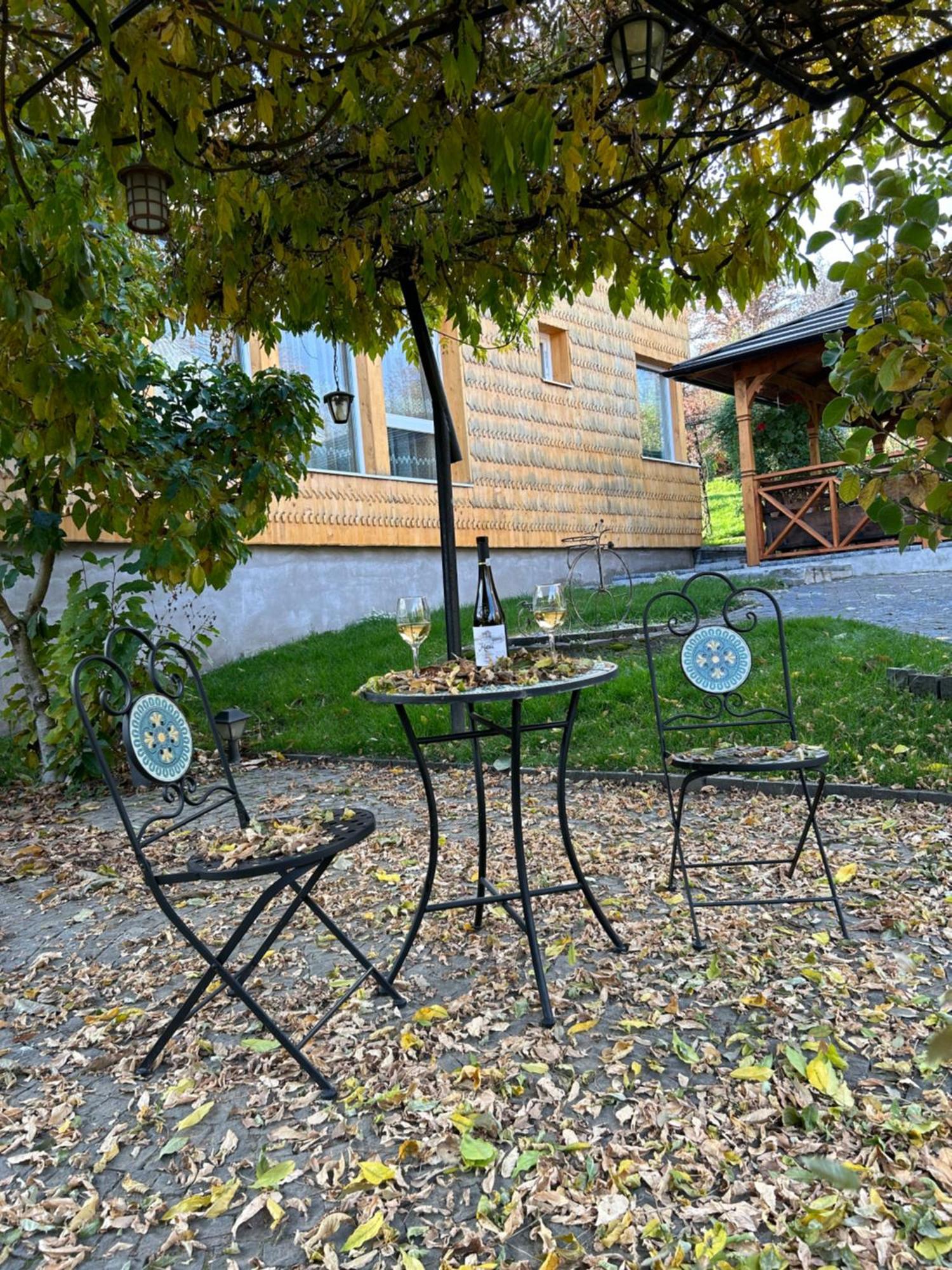 Hotel Casa Cu Magnolii Poienile Izei Zewnętrze zdjęcie