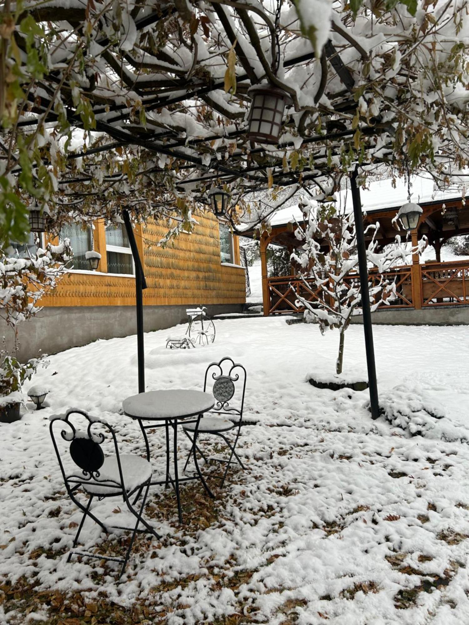 Hotel Casa Cu Magnolii Poienile Izei Zewnętrze zdjęcie